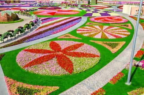 dubai miracle garden entry with transfer service