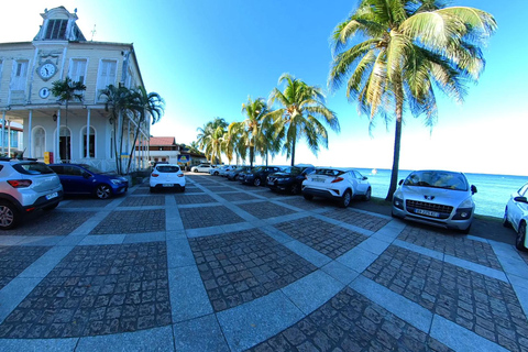 EXCURSÃO DE DIA INTEIRO À COSTA NORTE DAS CARAÍBAS E À FLORESTA TROPICAL