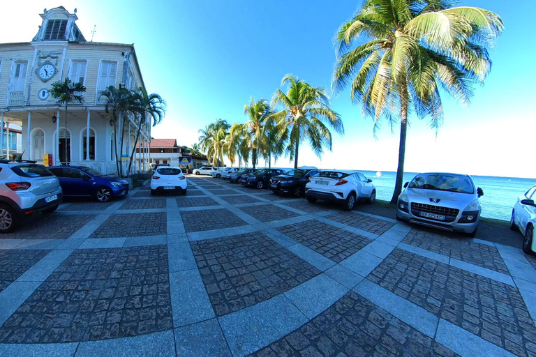 VISITE D&#039;UNE JOURNÉE DE LA CÔTE NORD DES CARAÏBES ET DE LA FORÊT TROPICALE