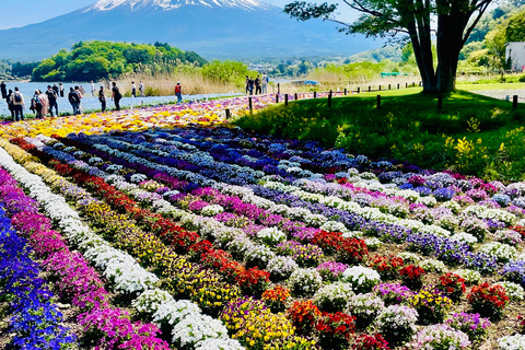 From Tokyo: Mount Fuji Full Day Customizable Private Tour LUXURY LAND CRUISER