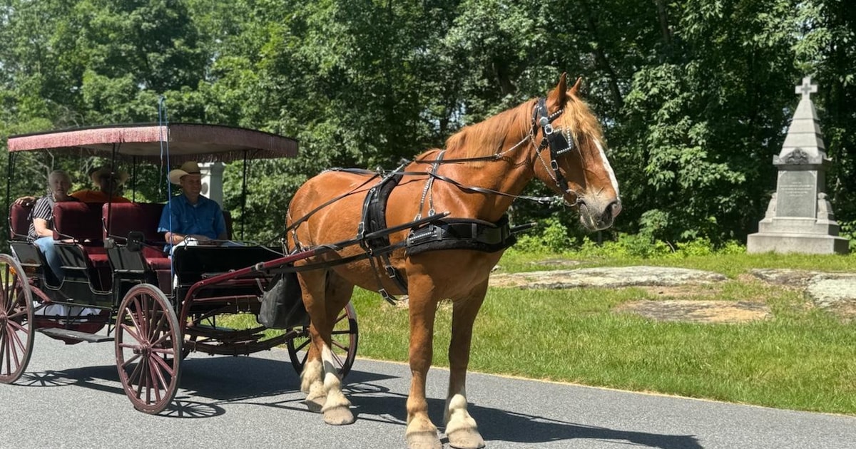 Gettysburg: Culp's Hill Tarihi At Arabası Gezisi Turu | GetYourGuide