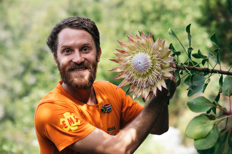 Guided Table Mountain Hike – Kasteelspoort Scenic Route Beautiful Table Mountain Hike: Kasteelspoort Scenic Route