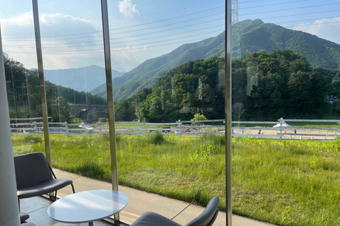 Gyeonggi: Alpaca & Sheep Ranch Admission Ticket in Gapyeong