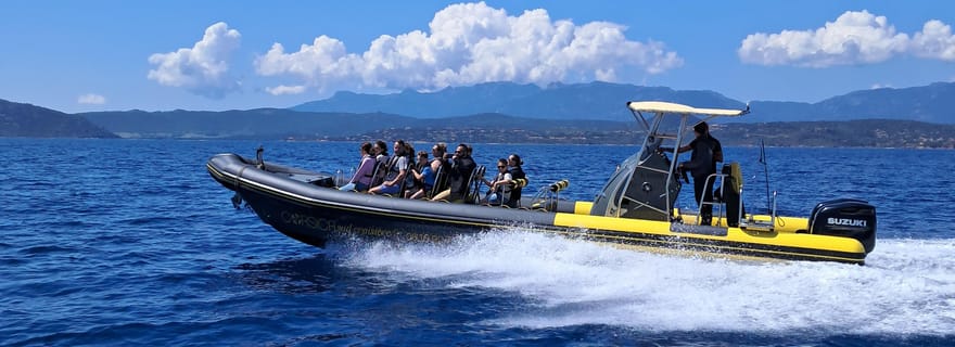 Santa-Giulia : Demi Journée en mer aux Iles Lavezzi