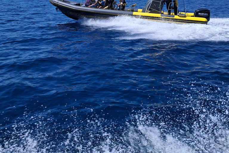 Santa-Giulia : Demi Journée en mer aux Iles Lavezzi