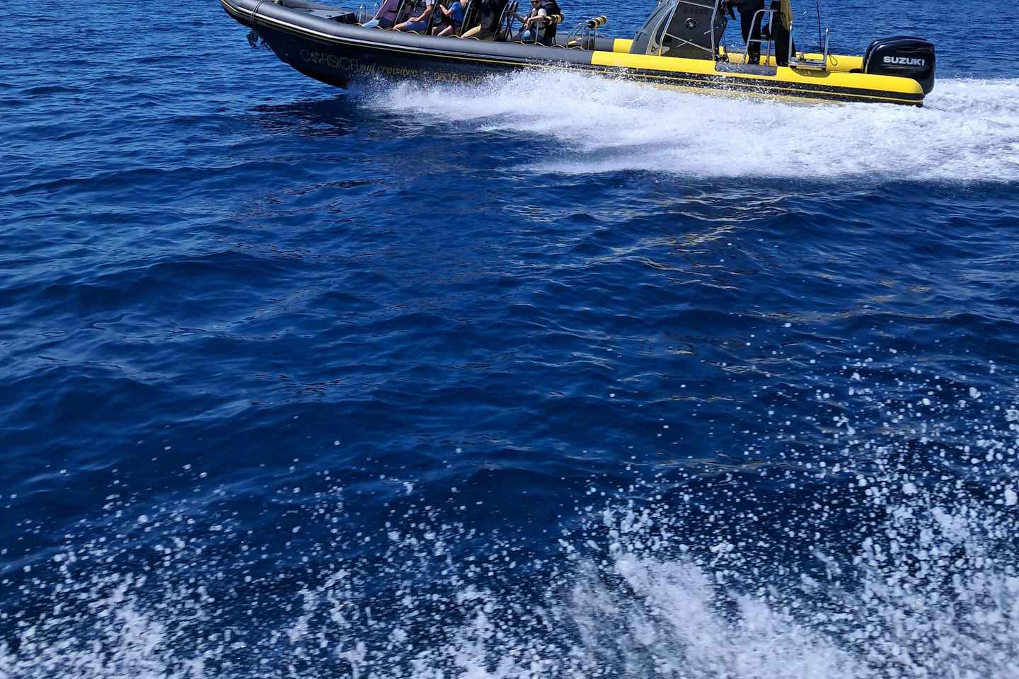 Santa-Giulia: Half-day trip to the Lavezzi Islands