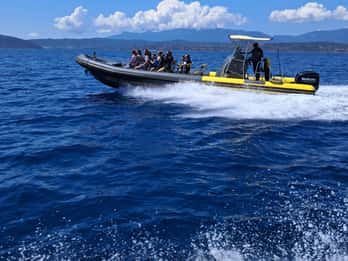 Santa-Giulia: Half-day trip to the Lavezzi Islands