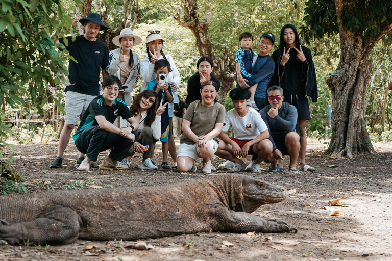 Komodo Speedboat Long Day Trip: 8 Highlights in One Day
