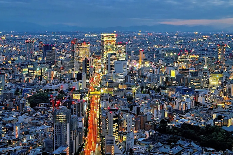 Tokyo: Imperial Palace, Tokyo Tower and Asakusa Temple Tour