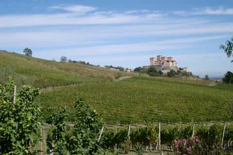 From Parma: Parmesan, Parma Ham & Balsamic Vinegar Tour
