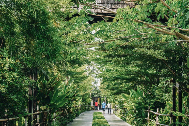 Bangkok to DuBua Café & Amphawa Private Day Trip