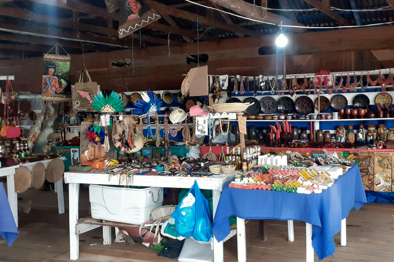 Tour Safari Amazônico em Manaus (Compartilhado)