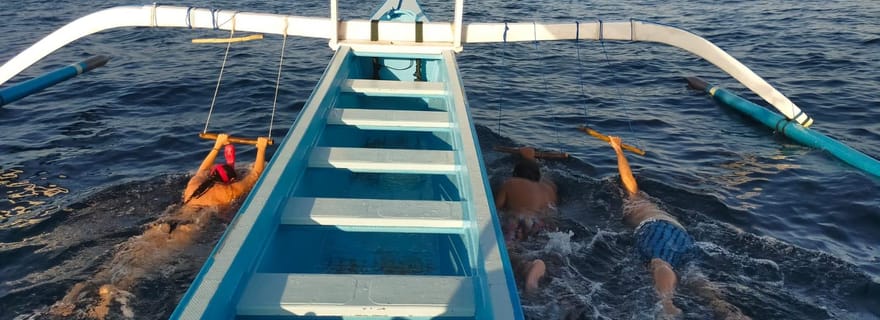 Bali : Aventure avec les dauphins de Lovina avec petit-déjeuner et plongée en apnée.