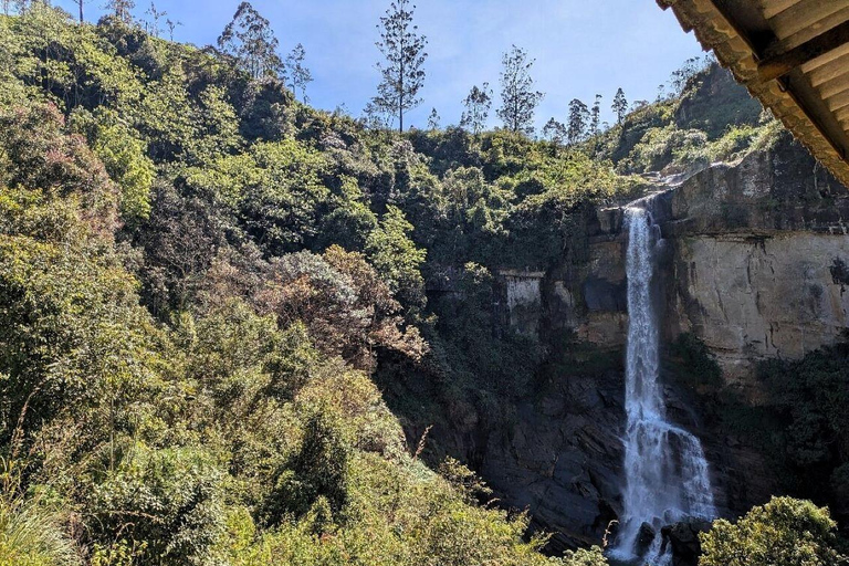 Kandy: Nuwara Eliya and Ambewela Train Station Tour