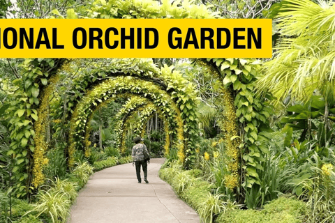 Singapore: National Orchid Garden Admission
