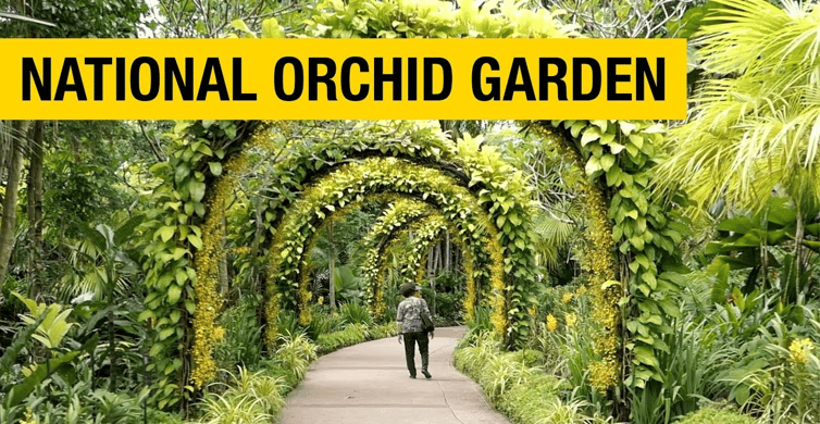Singapore: National Orchid Garden Admission photo 8