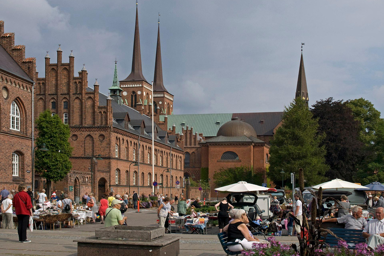 Copenhagen: Tour of Roskilde, the Viking City in English