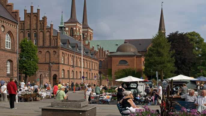 Copenhague: tour de Roskilde, la ciudad vikinga en inglés