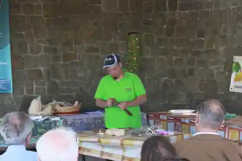 Sorrento gård med tuk tuk: pizza, limocello och ostprovning