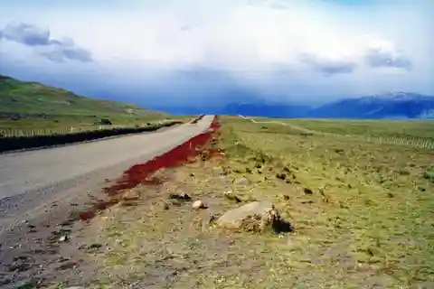 Tour de la ciudad de El Calafate y cuevas de Walichu