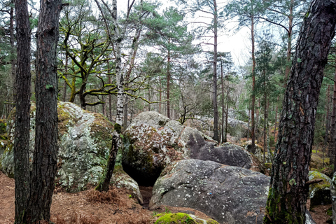 Hiking Adventure in the Fontainebleau Forest
