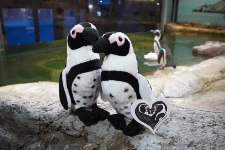 Niagara: Aquarium of Niagara General Admission