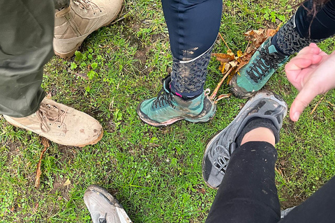 2 giorni di trekking con gli scimpanzé e pernottamento nella foresta pluviale di Nyungwe