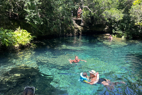 Visite d&#039;une demi-journée de la mer des Caraïbes et du lagon