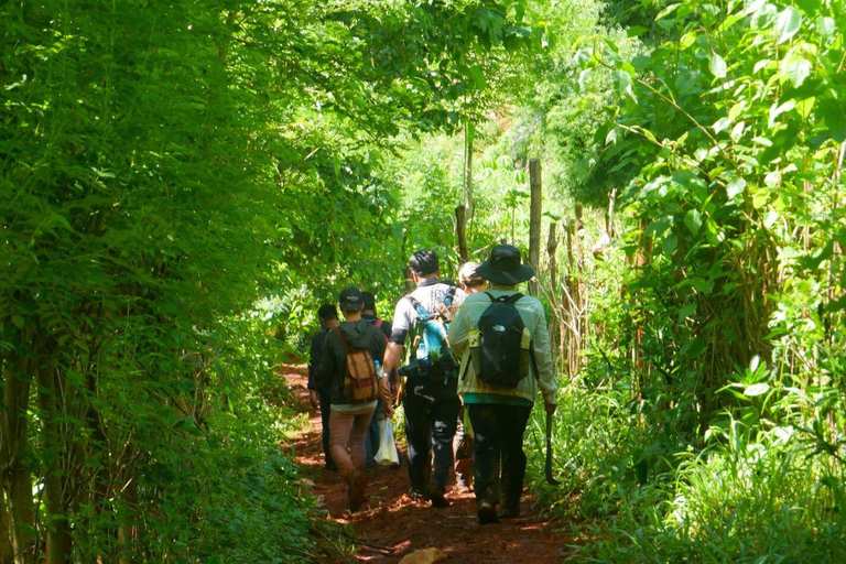 Luang Prabang: Biking, Trekking and Waterfall Private Tour