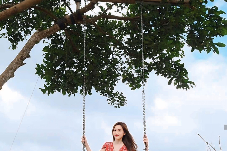 North Bali: Ulun Danu, Waterfalls, Swing and Monkey Forest Private Tour with Entry Ticket