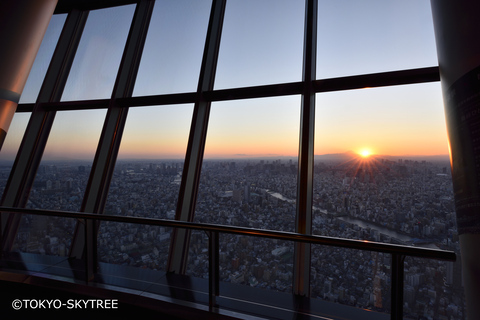 Tokio: 1 Tag Bustour mit MittagessenTokio Abreise