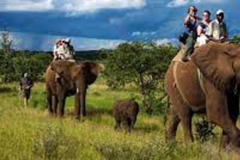 De Deli: Excursão de 2 noites ao Parque Nacional Jim Corbett