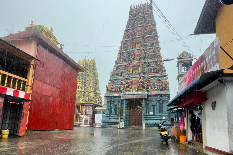 Tour de la ciudad en tuk tuk por Colombo (entradas y comida incluidas)Tour de la ciudad de Colombo en tuk con guía privado (todo incluido)