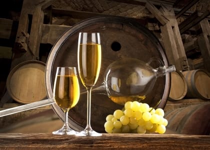 Etyek Village Private 4-Hour Wine Tour from Budapest