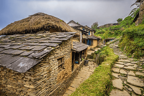 Pokhara: 3-dniowa łatwa wycieczka piesza do Annapurna Himalayas Foothill