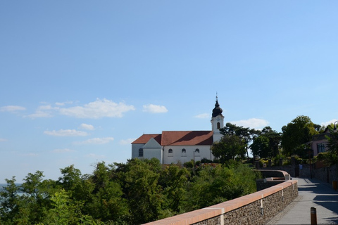 Budapest: Balatonsjön och Herend - privat heldagsutflykt