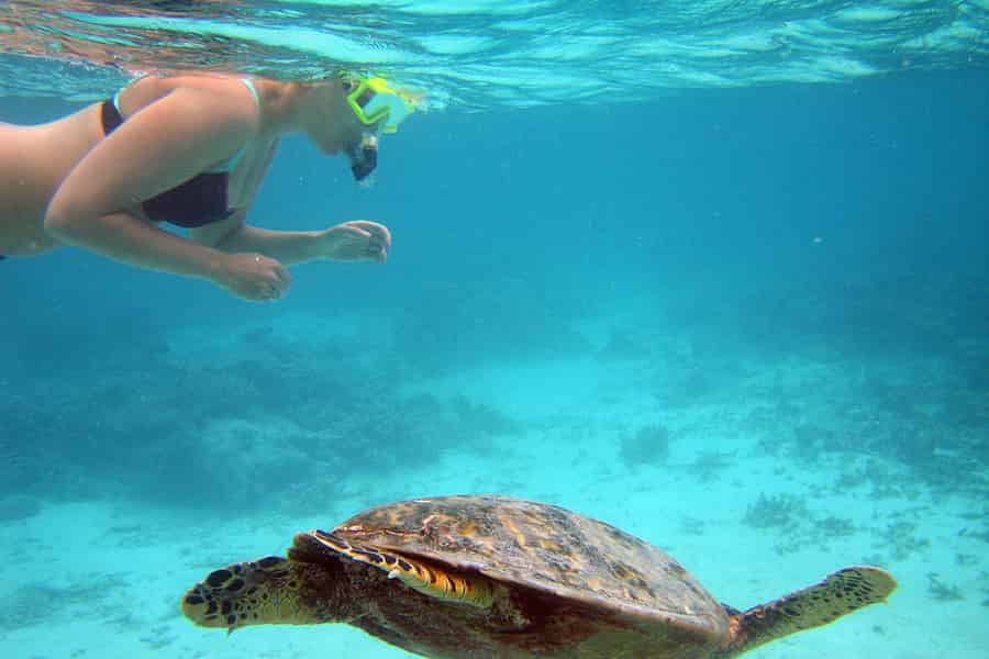 Ab Miami: Tagestour nach Key West. Foto: GetYourGuide