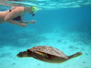 Key West: Tagesausflug ab Miami mit diversen Optionen Key West: Tagesausflug ab Miami mit diversen Optionen