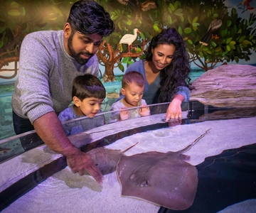 Niagara: Aquarium of Niagara General Admission
