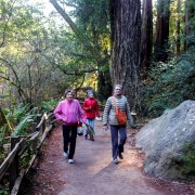 Muir Woods, Napa e Sonoma: tour enologico da San Francisco