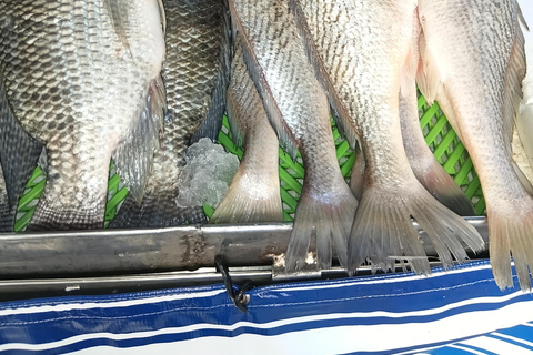 Rio de Janeiro: Copacabana Market Tour with Tastings