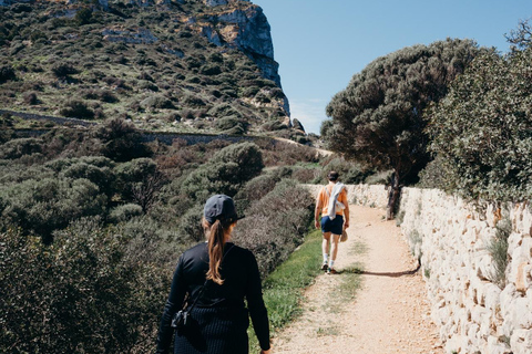 Majorca: Visit the Natural Park of Dragonera Island by boat
