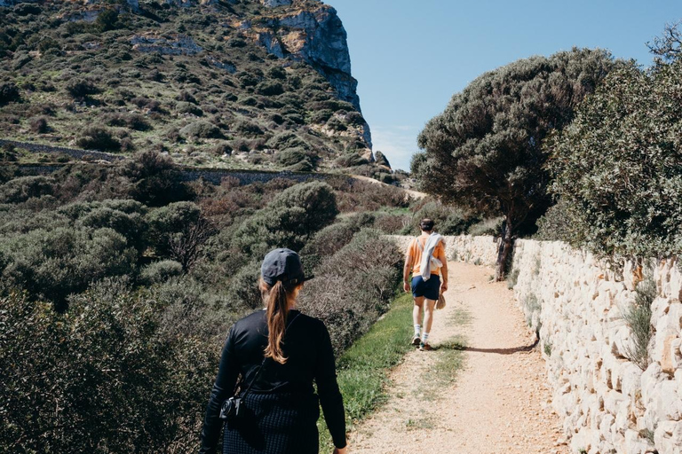 Majorca: Visit the Natural Park of Dragonera Island by boat