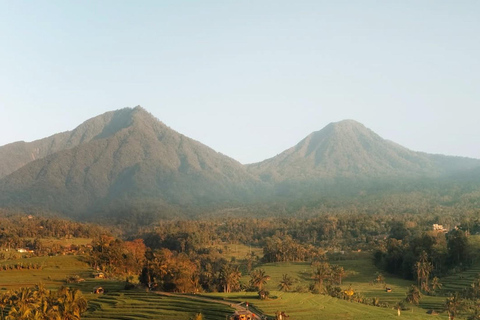 North Bali: Taman Ayun Temple, Jatiluwih, Campuhan Waterfall North Bali Tour with Central Bali Area pick up