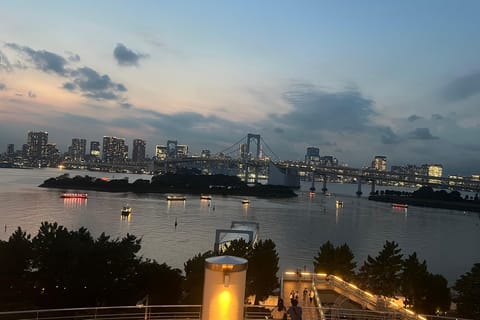 Tokyo: Private City Charter by Luxury Minivan with Driver - Image 2