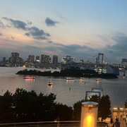 Tokyo: Private City Charter by Luxury Minivan with Driver