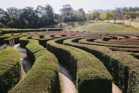 Herons Creek: Bago Maze Entry TicketBago Maze - Admission