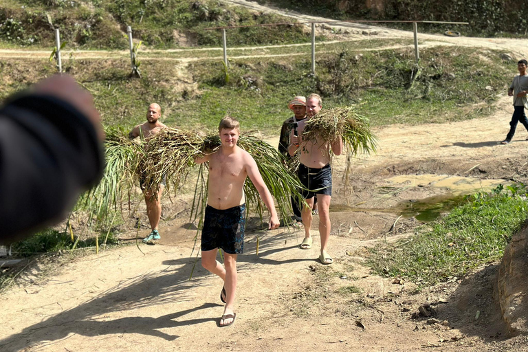 Chiang Mai 2-Day: Good Morning Elephant & Overnight Homestay