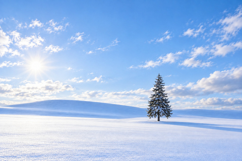 From Sapporo: Biei Snow Experience & Optional Buffet Buffet Lunch included