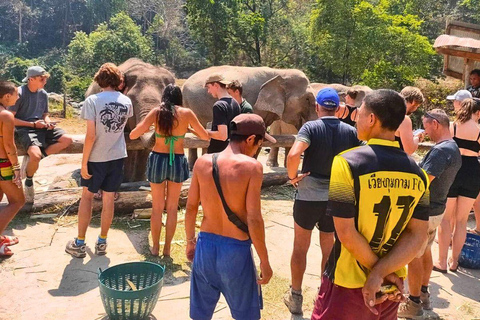 Chiang Mai: Jungle Trek, Elephants care & Bamboo Rafting